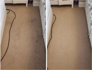 Muck Off Carpet and Upholstery Cleaning Bradford